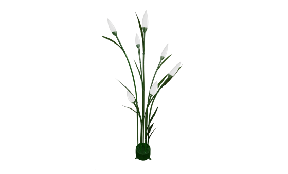 秋日蘆葦 LS-reed