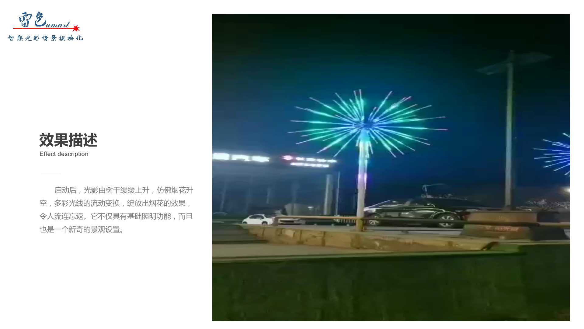 璀璨煙花(圖4)