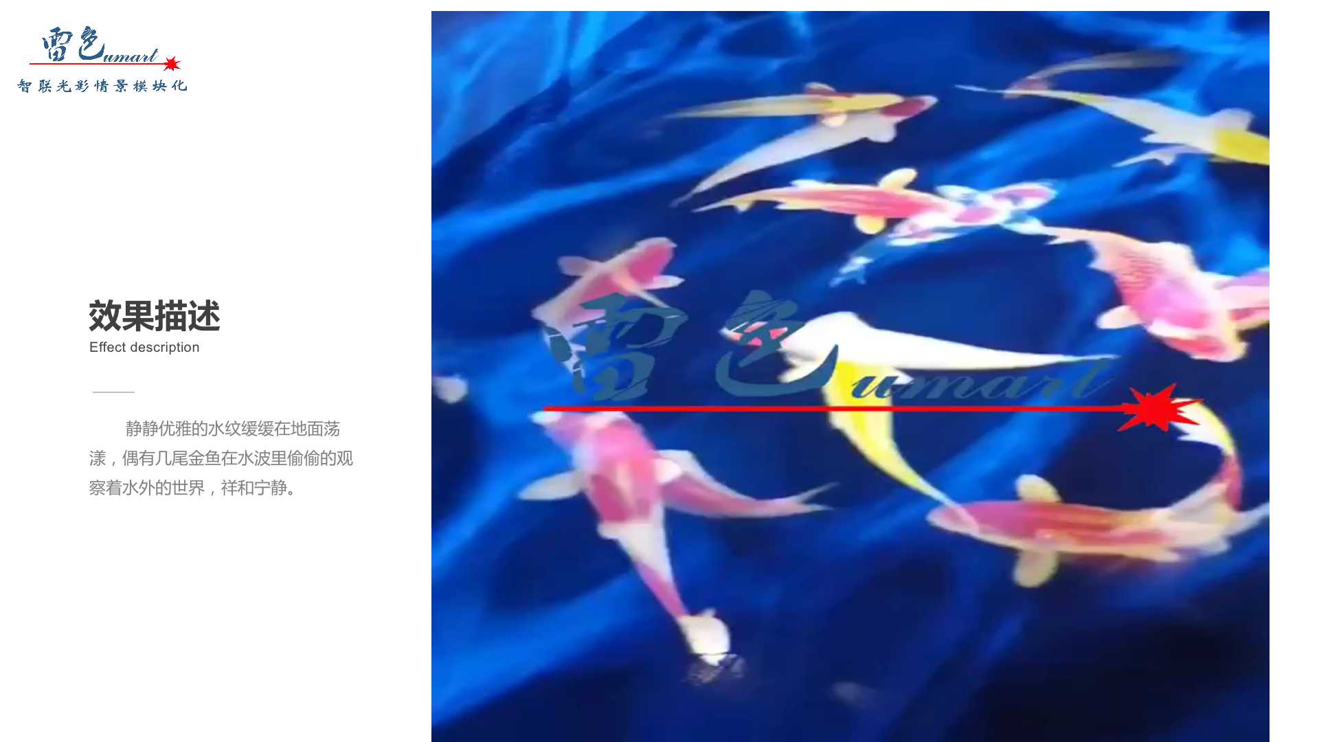 碧波蕩漾(圖4)