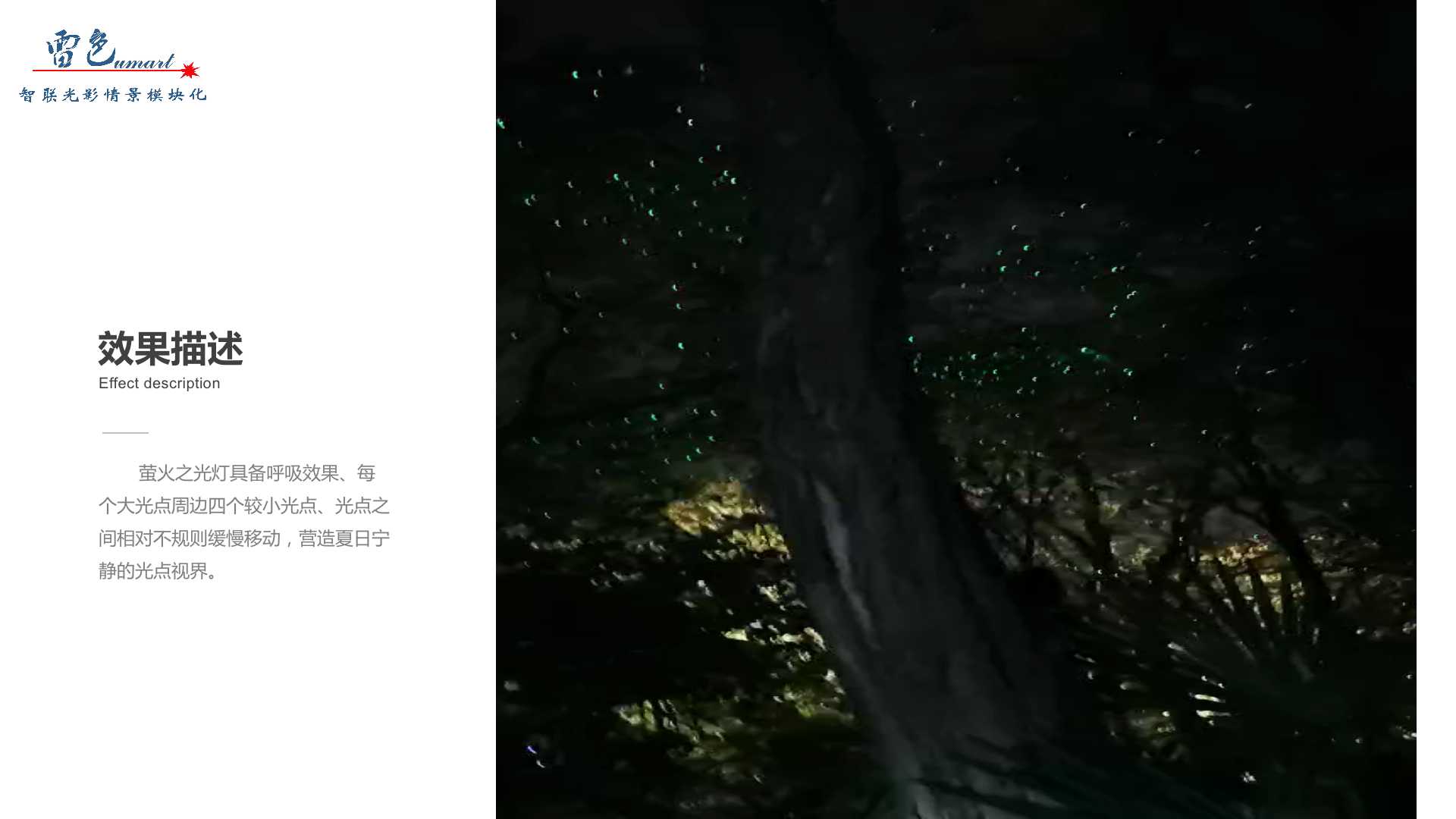 滿園螢火(圖4)