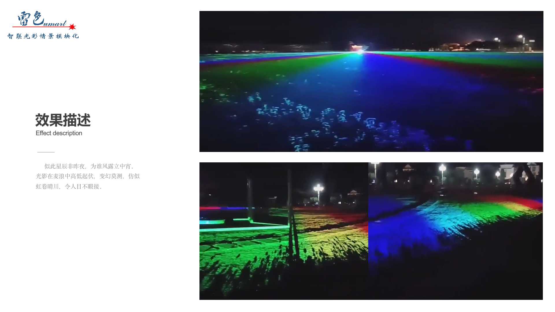 虹落花海(圖4)