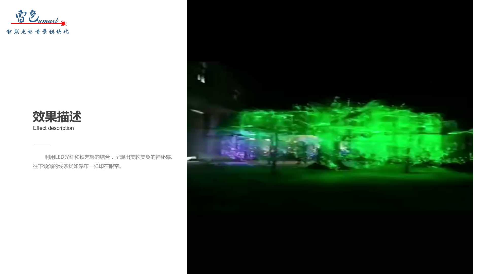 光影森林(圖4)